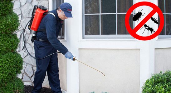 Lüleburgaz Karınca İlaçlama böcek ilaçlama ve haşere kontrolü — ilaclama-tr.com